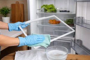 Safe owner-level refrigerator care and inspection scene