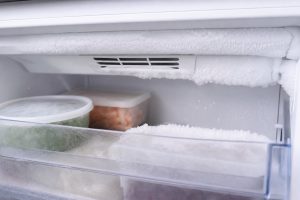Bertazzoni Freezer REF24FCBIPNV