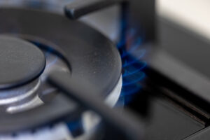 Bertazzoni Range PRO304IFEPCAT